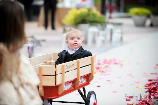 Best Portofino Bay Hotel Wedding Photos - Sandra Johnson (SJFoto.com)